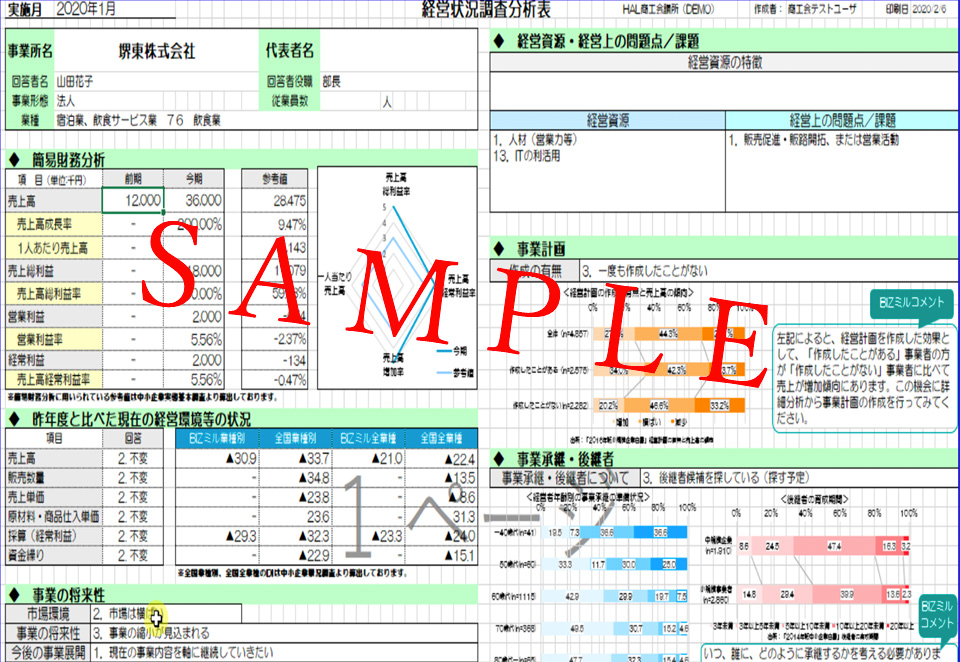 営状況調査分析表